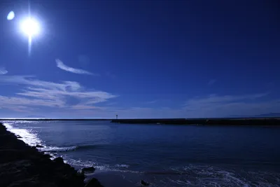 DSC_0854 (Large).JPG